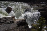 ND8 5613  Sunwapta Falls