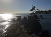 DJI 0095  Siletz Bay