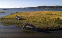 DJI 0108  Siletz Bay