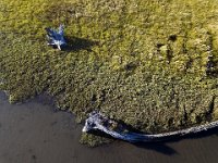 DJI 0120  Siletz Bay