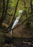 ND8 6846  Bridal Veil Falls