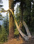 ND8 7602  Crater Lake