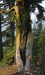 ND8 7615  Crater Lake