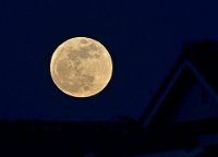 DSC 1248  Moonrise Milpitas