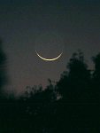 newmoon  24-hour-old new Moon