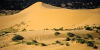 DP12 18  Coral Pink Sand Dunes, UT