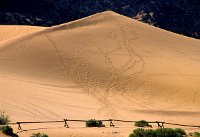 DP12 22  Coral Pink Sand Dunes, UT