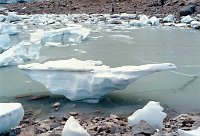 DP14 2  Angel Glacier