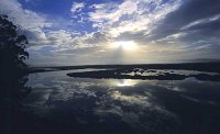 Elkhorn Slough & Pt Lobos