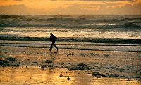 goldbeach  Lompoc, 2001