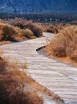 DP7 24  Mono Lake