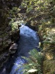 ND6 4952  Rogue River Gorge