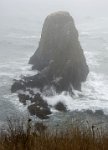 ND6 5965  Yaquina Head