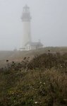 ND6 5977  Yaquina Head