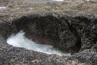 ND6 6083  Thor's Well at low tide