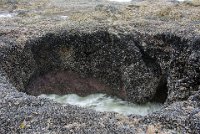 ND6 6090  Thor's Well at low tide