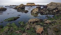 ND6 6375  Glass Beach, CA