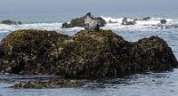 ND6 6404  Glass Beach, CA