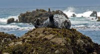 ND6 6420  Glass Beach, CA