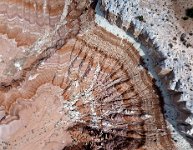 DJI 0067  The Toadstools, Utah