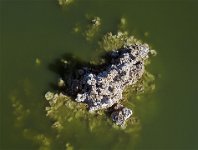 DJI 0192  Mono Lake