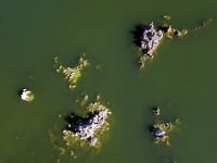 DJI 0200  Mono Lake