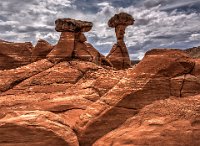 ND8 8605 06 07 09 10 11 Vibrant  The Toadstools, Utah