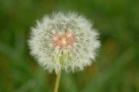 DSCF5753