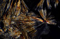 Sulfur 2016-11-10-19.14  Sulfur, polarized light