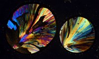 Sulfur 2016-11-12-14.44  Sulfur, polarized light