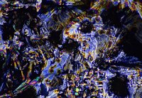 2019-01-31-20.32