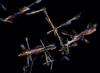 2016-11-06-12.32  Aspirin, polarized light