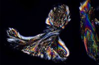 Aspirin 2016-11-29-18.50  Aspirin, polarized light