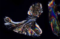 Aspirin 2016-11-29-18.50  Aspirin, polarized light