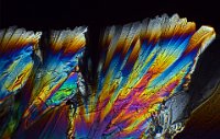 2016-11-02-19.09  Sugar, polarized light