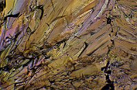 2016-11-03-21.18  Sugar, polarized light