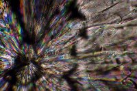 2016-11-05-17.25  Sugar, polarized light