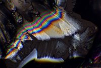 2016-11-05-19.46  Sugar, polarized light