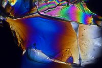 Sugar 2016-11-12-21.18  Sugar, polarized light