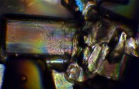 Sugar 2016-12-24-18.30  Sugar, polarized light