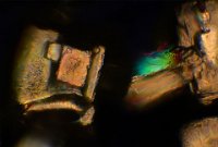 Sugar 2016-12-24-19.37  Sugar, polarized light