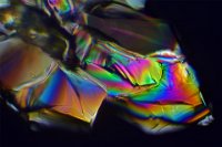 Sugar 2016-12-26-12.10  Sugar, polarized light