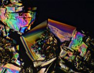 Sugar 2016-12-26-12.20  Sugar, polarized light