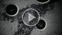 Yeast  A short video of yeast cells flowing through a water channel