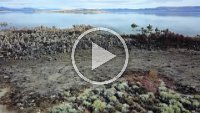 M 132  Mono Lake Tufa