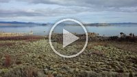 M 63  Mono Lake Tufa