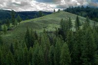 DSCF0032