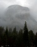 DSC1951