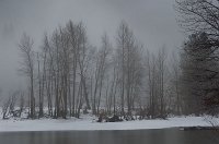DSC2029