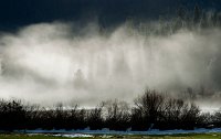 DSC2409